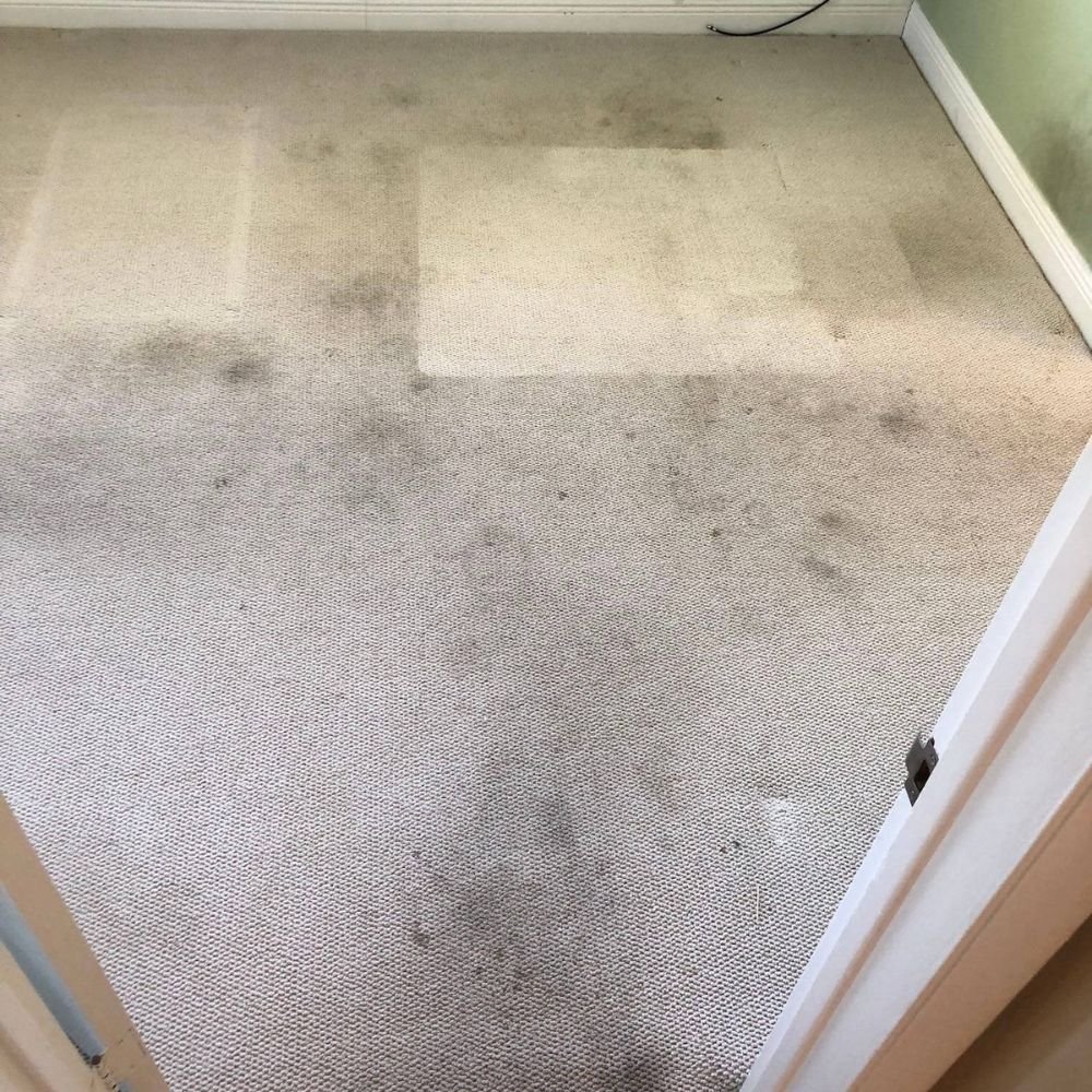 Carpet before professional cleaning
