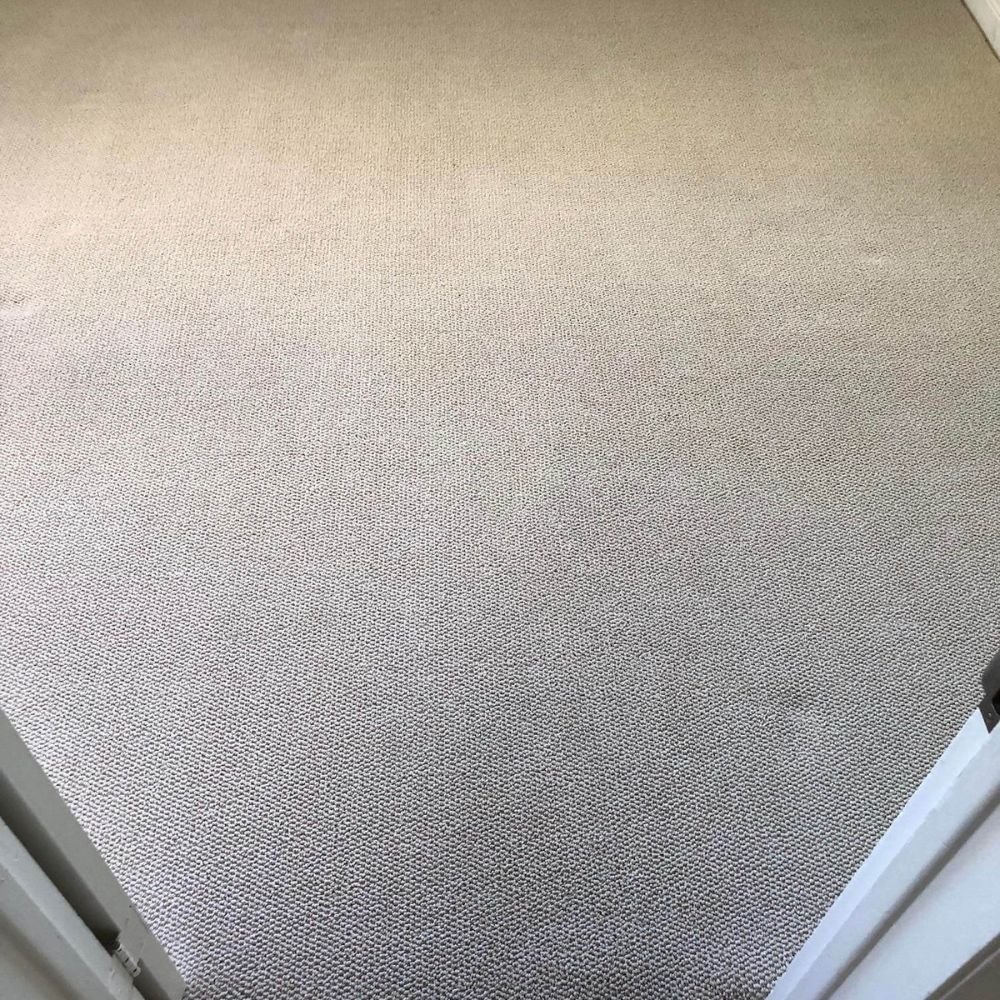 Carpet after professional cleaning