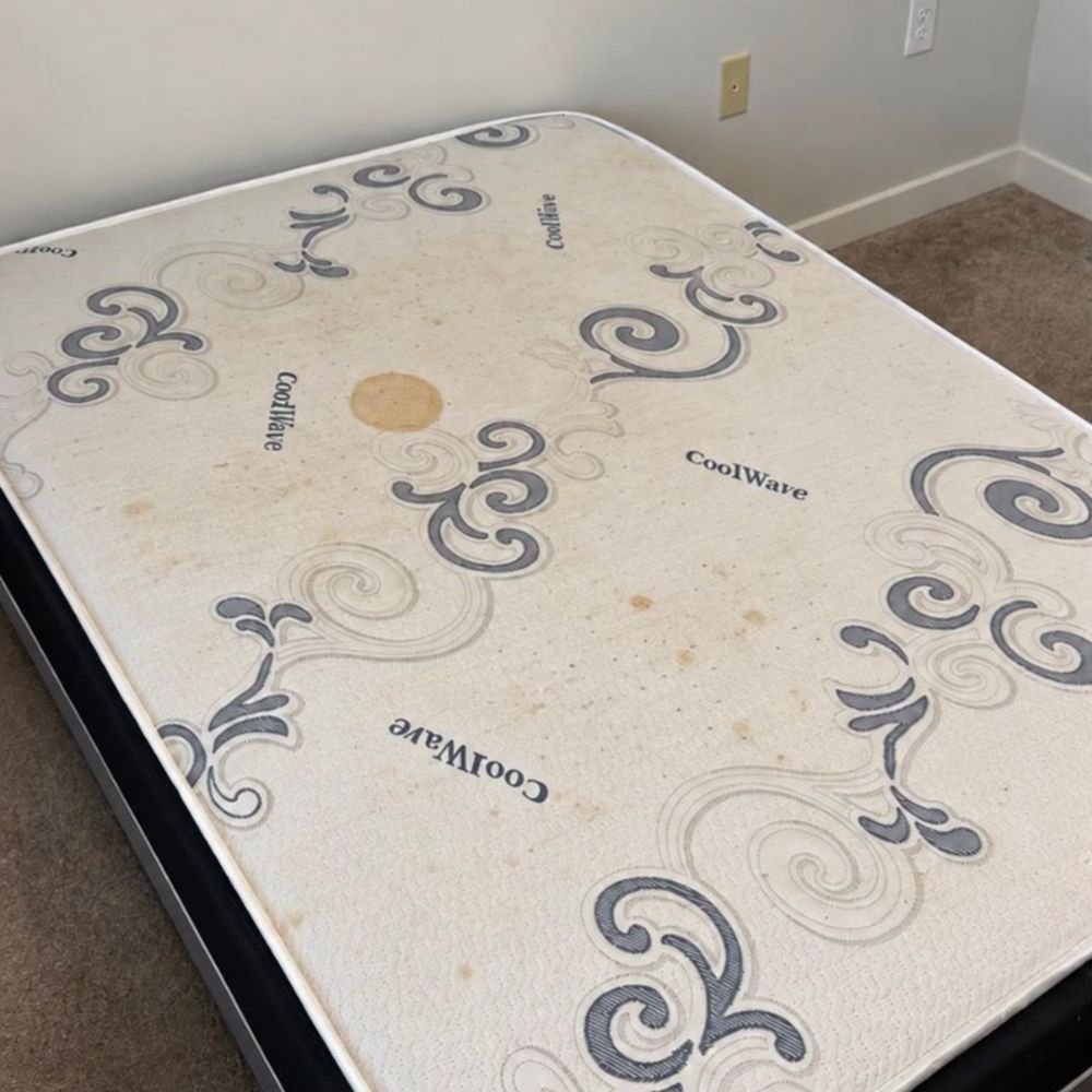 Upholstery before professional cleaning